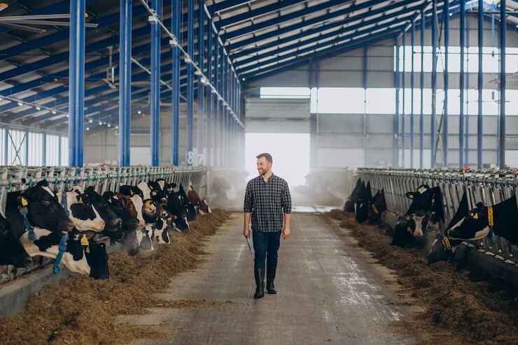 GELECEK AGRO HAKKINDA,gelecekagro.com.tr, Gelecek Agro, Gelecek Agro Kurumsal, Gelecek Agro İletişim, Gelecek Agro Tarım Sanayi, Gelecek Agro Hayvancılık Üretimi, Hayvancılık Üretimi,  Gelecek Agro Tarımsal Bitki Üretimi, Tarımsal Bitki Üretimi, Gelecek Agro Finansal Yatırım, Gelecek Agro HAYVANCILIKTA ÜRETİM PLANLAMASI, HAYVANCILIKTA ÜRETİM PLANLAMASI, Gelecek Agro HAYVANCILIKTA TEKNOLOJİK PROJE GELİŞTİRME HİZMETLERİ, HAYVANCILIKTA TEKNOLOJİK PROJE GELİŞTİRME HİZMETLERİ, Gelecek Agro TARIMSAL BİTKİ ÜRETİMDE TEKNOLOJİK VE ÜRETİM BELGELERİNİN GELİŞTİRİLMESİNE YÖNELİK HİZMETLERİMİZ, TARIMSAL BİTKİ ÜRETİMDE TEKNOLOJİK VE ÜRETİM BELGELERİNİN GELİŞTİRİLMESİNE YÖNELİK HİZMETLERİMİZ, Gelecek Agro BİR YATIRIM PROJESİNİN FİNANSAL MODELİNİN GELİŞTİRİLMESİNE YÖNELİK HİZMETLER, BİR YATIRIM PROJESİNİN FİNANSAL MODELİNİN GELİŞTİRİLMESİNE YÖNELİK HİZMETLER, Gelecek Agro İŞ PLANI GELİŞTİRME VE YATIRIM PROJESİ SUNUM HİZMETLERİ, İŞ PLANI GELİŞTİRME VE YATIRIM PROJESİ SUNUM HİZMETLERİ, Gelecek Agro ROMANOV KOYUNU ÜRETİM ÇİFTLİĞİ, ROMANOV KOYUNU ÜRETİM ÇİFTLİĞİ, Gelecek Agro BÜYÜKBAŞ HAYVAN YETİŞTİRİCİLİĞİ, BÜYÜKBAŞ HAYVAN YETİŞTİRİCİLİĞİ, Gelecek Agro SÜT ÜRETİM ÇİFTLİĞİ, SÜT ÜRETİM ÇİFTLİĞİ, Gelecek Agro TAVUK ÇİFTLİĞİ KURULUMU, TAVUK ÇİFTLİĞİ KURULUMU, Gelecek Agro KEÇİ ÜRETİM ÇİFTLİĞİ, KEÇİ ÜRETİM ÇİFTLİĞİ